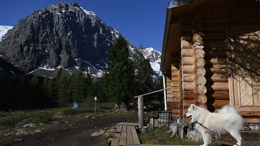 Experiment on legalization of guest houses to be launched in Russia